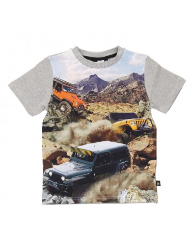 MOLO: Renzo cars jongens t-shirt